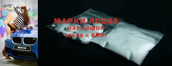 прущий лед Пересвет
