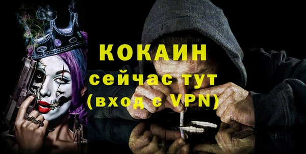 прущий лед Пересвет