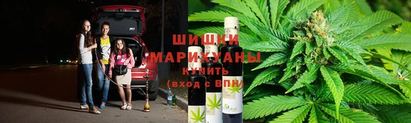 эйфоретик Аркадак