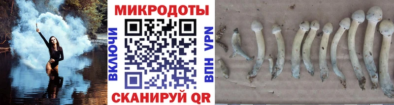 ссылка на мегу ТОР  Старая Купавна  Галлюциногенные грибы Magic Shrooms 